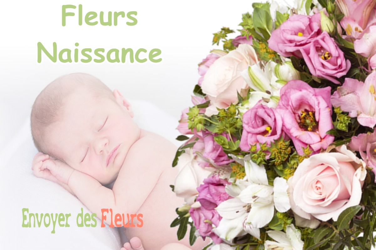 lIVRAISON FLEURS NAISSANCE à MERGEY